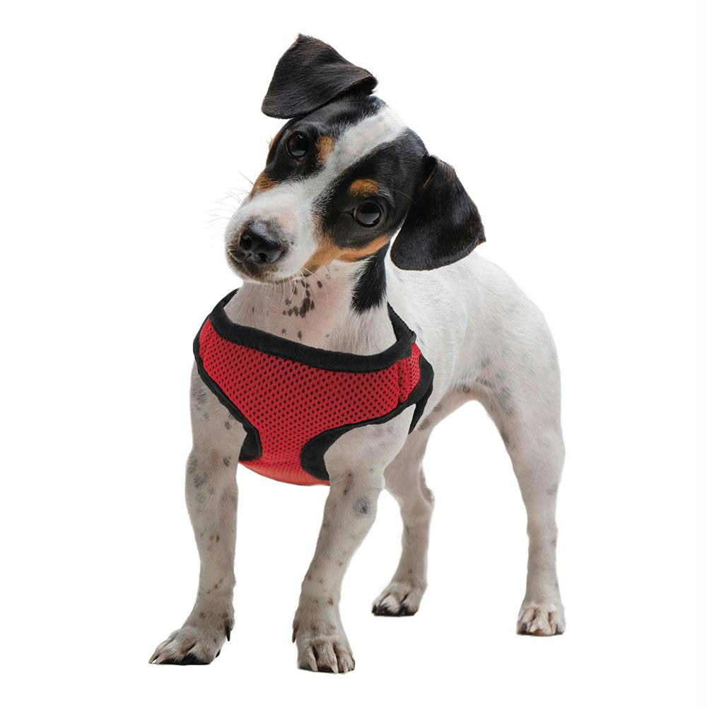 Extra Small Red Soft'n'Safe Dog Harness