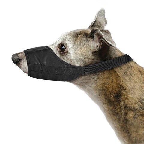 Medium Nylon Dog Muzzle