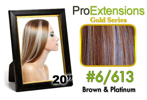 #6-613 Chestnut Brown w-Platinum Highlights Pro Cute