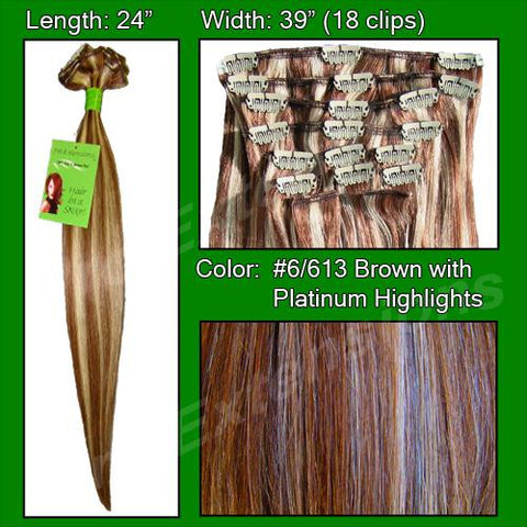 #6-613 Chestnut Brown w- Platinum Highlights - 24 inch REMI