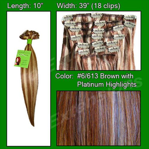 #6-613 Chestnut Brown with Platinum Highlights - 10 inch