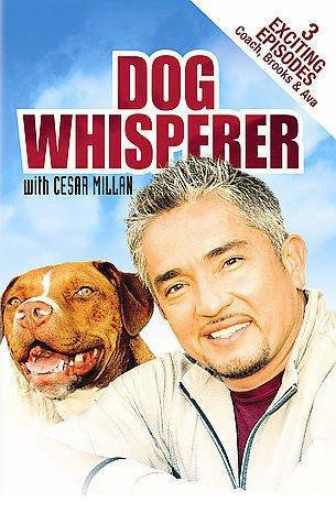 SCREEN MEDIA DVD "DOG WHISPERER" 3 MOVIE