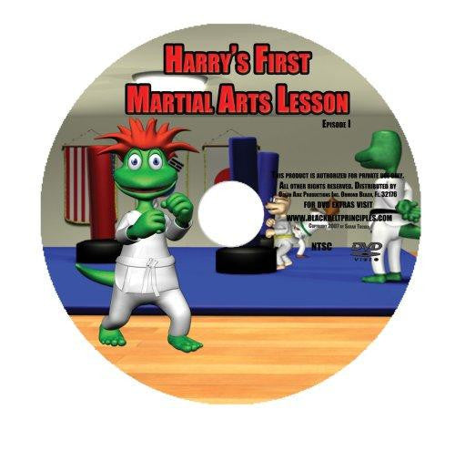 HARRYS FIRST MARTIAL ARTS LESSON MOVIE